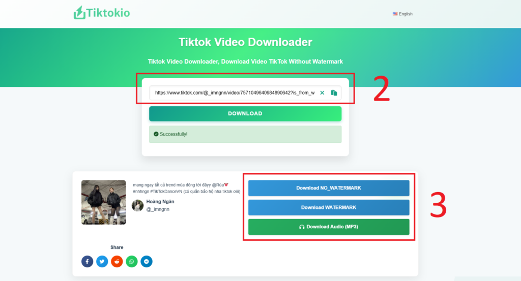 Baixar Videos Do Tiktok